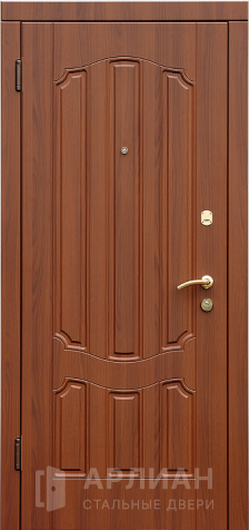 Фото №2 «Дверь с МДФ №51»