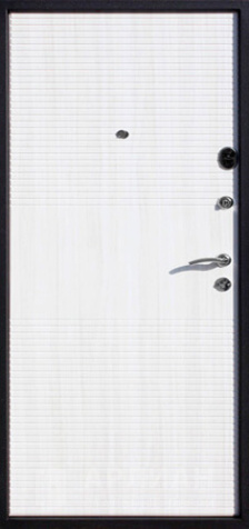 Фото №2 «Железная входная дверь усиленной конструкции с ребрами жесткости №1»